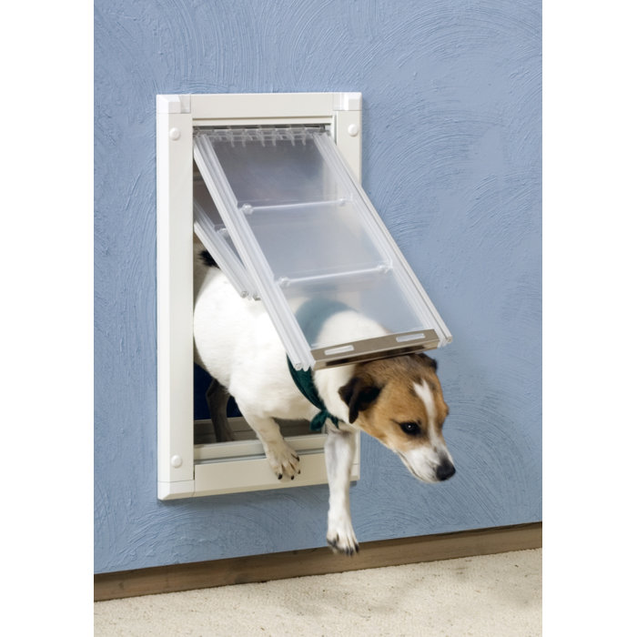 EnduraFlap Endura Double Flap Pet Door for Walls & Reviews Wayfair
